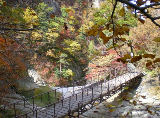 설악산(차량 10~15분거리)