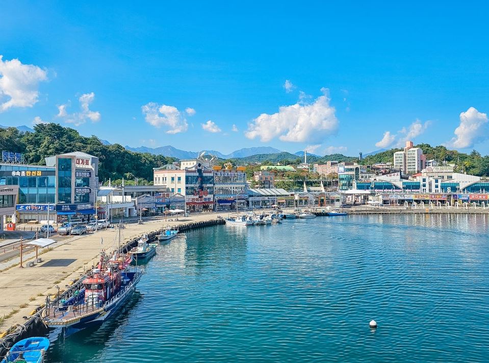 대포항(차량 3분거리)